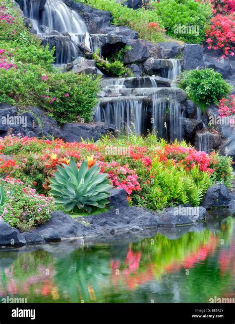 Waterfalls and flower gardens at the Grand Hyatt, Kauai, Hawaii Stock Photo - Alamy