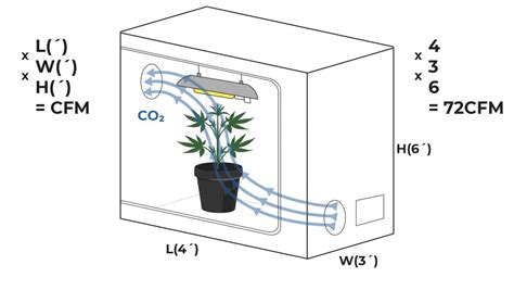 Ventilation For Grow Tent or Grow Room: Cheap And DIY Solutions | Fast Buds