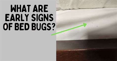 10 Early Signs of Bed Bugs | Orion Pest Solutions