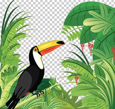 amazon rainforest clipart 20 free Cliparts | Download images on ...