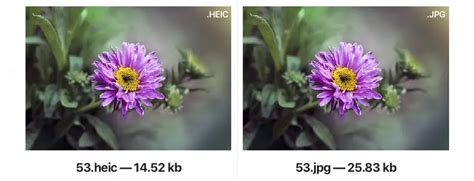 Comparing HEIC vs JPEG: In Depth Look at Image File Formats