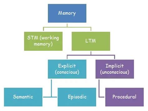 Types of long term memory - Psychology Hub