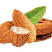 Nuts Transparent | PNG All
