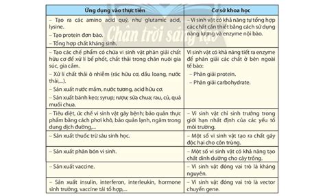 Lý thuyết ứng dụng vi sinh vật trong thực tiễn - Sinh 10 Chân trời sáng ...