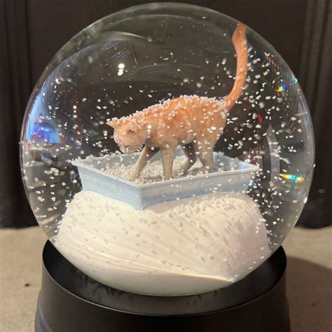 Kitty Litter Snow Globe - Etsy