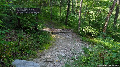 Catoctin Mountain Park | THURMONT VISTA LOOP HIKE