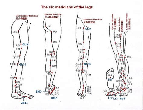 The 6 Meridians of the Legs | Acupuncture, Chinese massage, Meridians