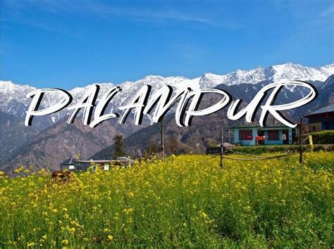 Palampur: A Dance of the Plains And The Mountains - Memorable India BlogMemorable India Blog