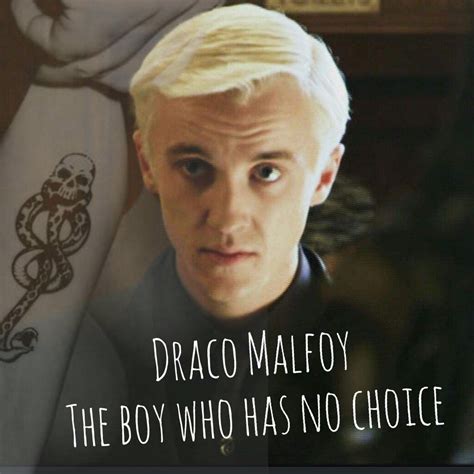 Draco Malfoy | Harry potter sammlung, Harry potter, Sammlung