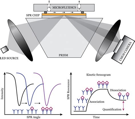 Surface Plasmon Resonance Technology. Angular, spectral, electro-chemical SPR sensing.