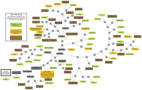 There’s no such thing as a tree (phylogenetically) | Eukaryote Writes Blog