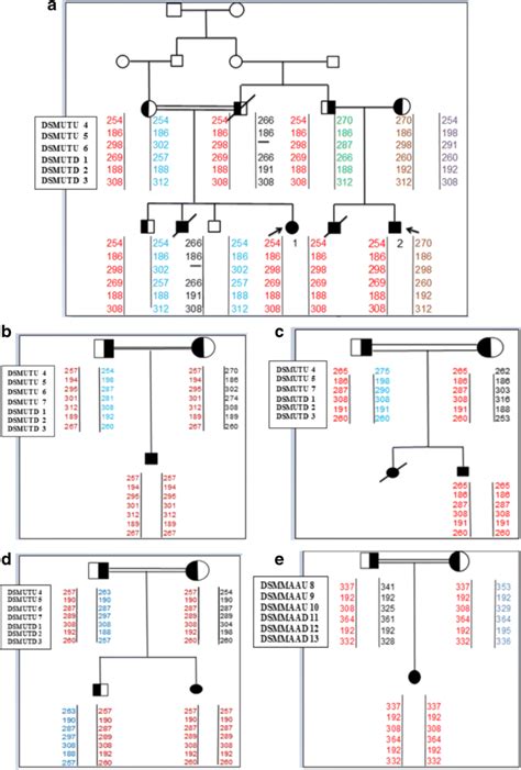 The figure shows haplotype analysis of the families with novel... | Download Scientific Diagram