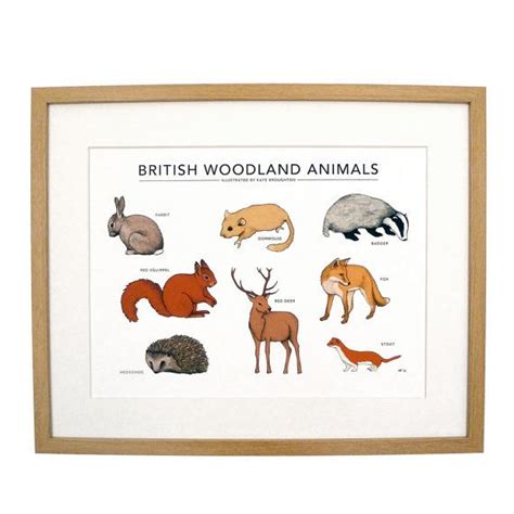 british woodland animals print by katebroughton on Etsy, £35.00 Woodland Creatures, Woodland ...