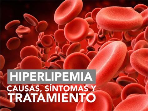 HIPERLIPEMIA: CAUSAS, SÍNTOMAS Y TRATAMIENTO – Clinica del campestre