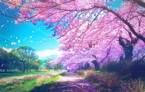 Park, people, spring, Sakura ...anime.goodfon, anime park HD wallpaper | Pxfuel