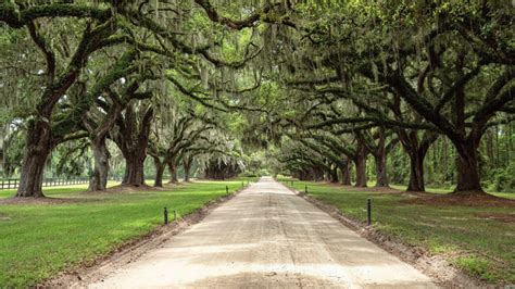 Movies and TV shows filmed in and around Charleston, SC - CHStoday