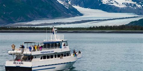 3.5 Hour Kenai Fjords Wildlife Cruise - Major Marine Tours