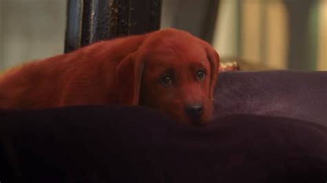 Clifford the Big Red Dog (2021) Trailer Filma - Recenzije Filmova i Serija