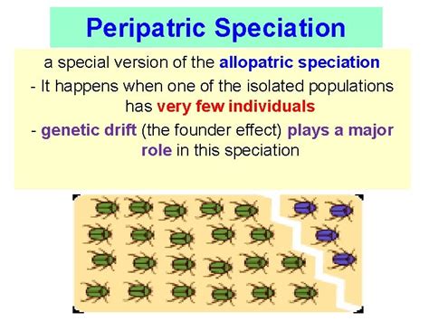 15 3 Mechanisms of EVOLUTION 15 3 Speciation