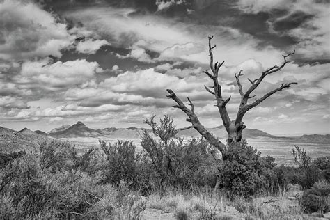 Organ Mountains National Monument Photograph by Jurgen Lorenzen - Pixels