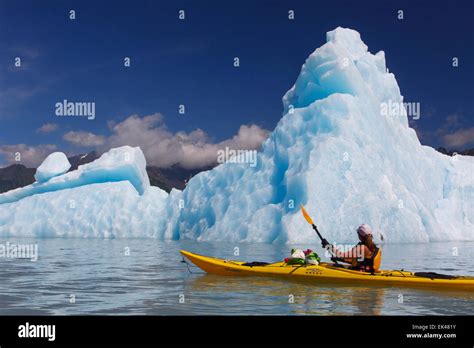 Kayaking in Bear Glacier Lagoon, Kenai Fjords National Park, near Seward, Alaska. (model ...