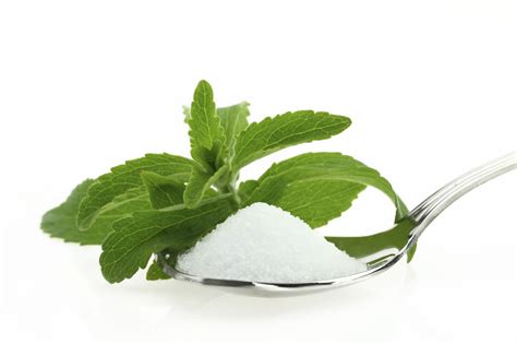 Low Calorie Stevia Sugar Substitute Green Stevia Powder For Beverages