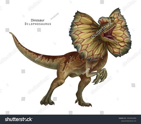 Dilophosaurus Royalty-Free Images, Stock Photos & Pictures | Shutterstock