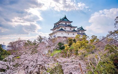 Cherry Blossoms: 10 Best Viewing Spots All Around Japan