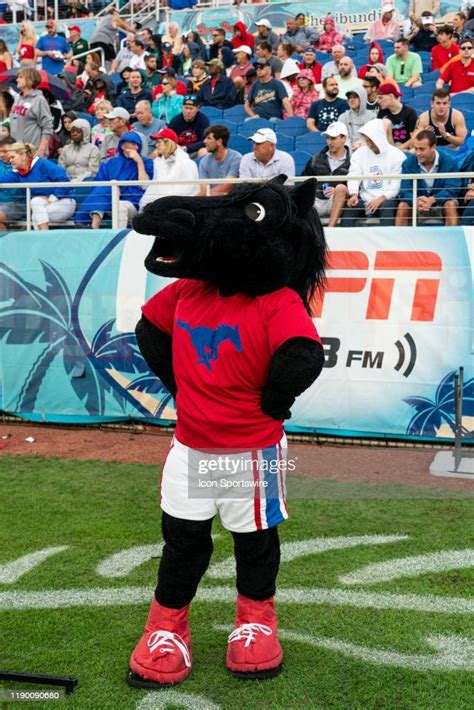 SMU Mustangs mascot Peruna before the Cheribundi Boca Raton Bowl ...