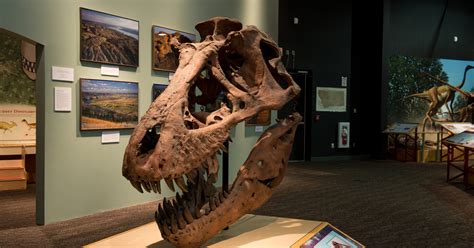 Dinosaurs in real-life: Where to find a "Jurassic World" around the US