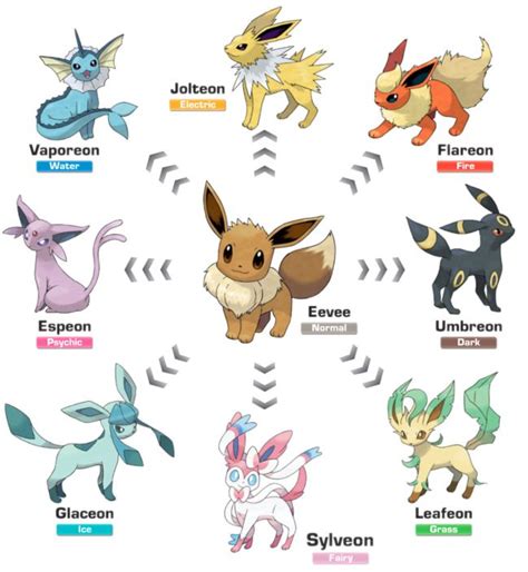 Eevee Evolution Chart 2022