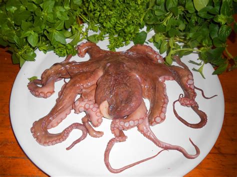 OCTOPUS HEAD RECIPE: from yuck to yum