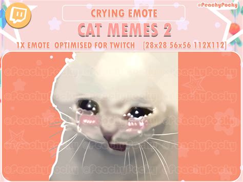 Twitch Emote 1x Cat Twitch Meme Emotes Cry Blush Cat / - Etsy UK