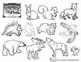 Arctic Animals Coloring Pages At GetColoringscom  Free Printable sketch template