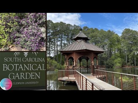 Exploring The South Carolina Botanical Garden At Clemson University - YouTube