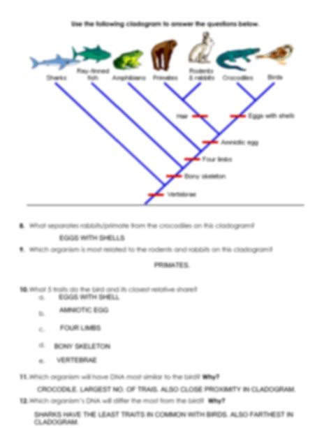 SOLUTION: Cladogram worksheet practice key - Studypool