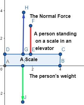 A 91.0 kg person stands on a scale in an elevator. What is the apparent weight when the elevator ...