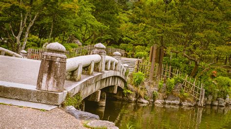 Surrounded by Nature at Kyoto's Maruyama Park