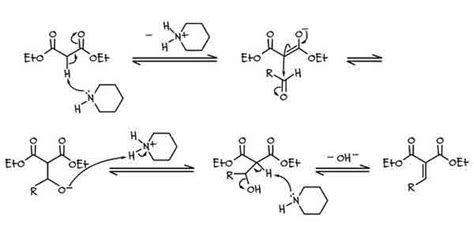 Knoevenagel Condensation | Thermo Fisher Scientific - ID