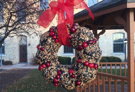 DIY Holiday Wreath Bird Feeder | Winter holiday crafts, Holiday wreaths, Holiday birds