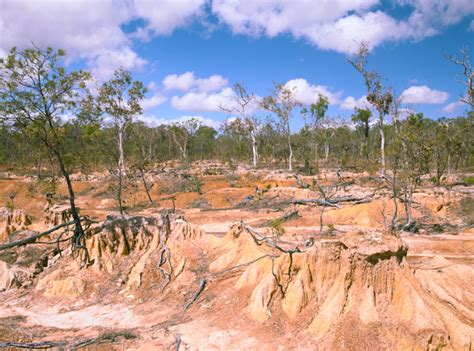 Biodiversity and Ecosystem Loss - GLOBAL PERSPECTIVES