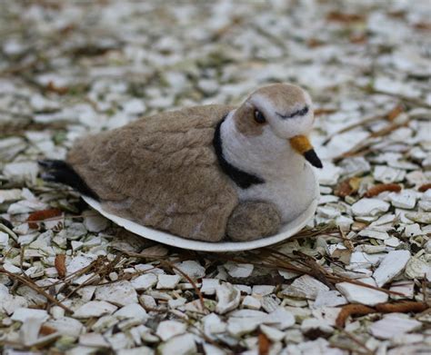 Needlefelted Nesting Piping Plover