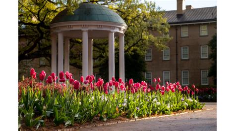 UNC-Chapel Hill graduate programs ranked among best in the country - UNC News : UNC News