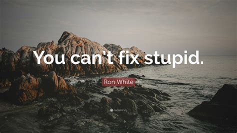 Ron White Quote: “You can’t fix stupid.”