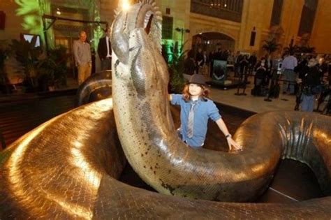 Titanoboa: The Biggest Snake That Ever Lived | HubPages