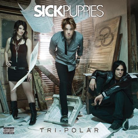 BPM and key for You're Going Down by Sick Puppies | Tempo for You're ...