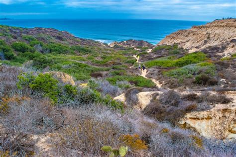 30 Best San Diego Hikes | Hiking Trails Near San Diego | La Jolla Mom