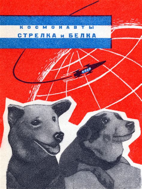 1960 Space Dogs Strelka and Belka Painting by Historic Image