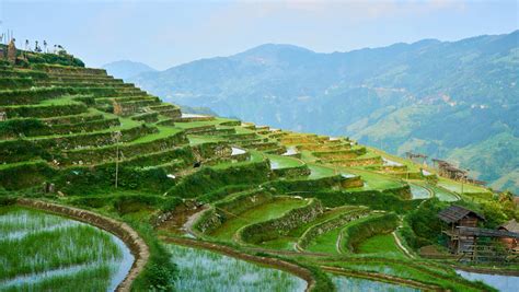 The Most Beautiful Rice Paddies in China