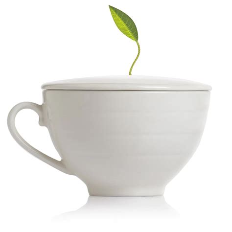 Taza De Porcelana Con Tapa Para Té Tea Forte Café Cup | BB